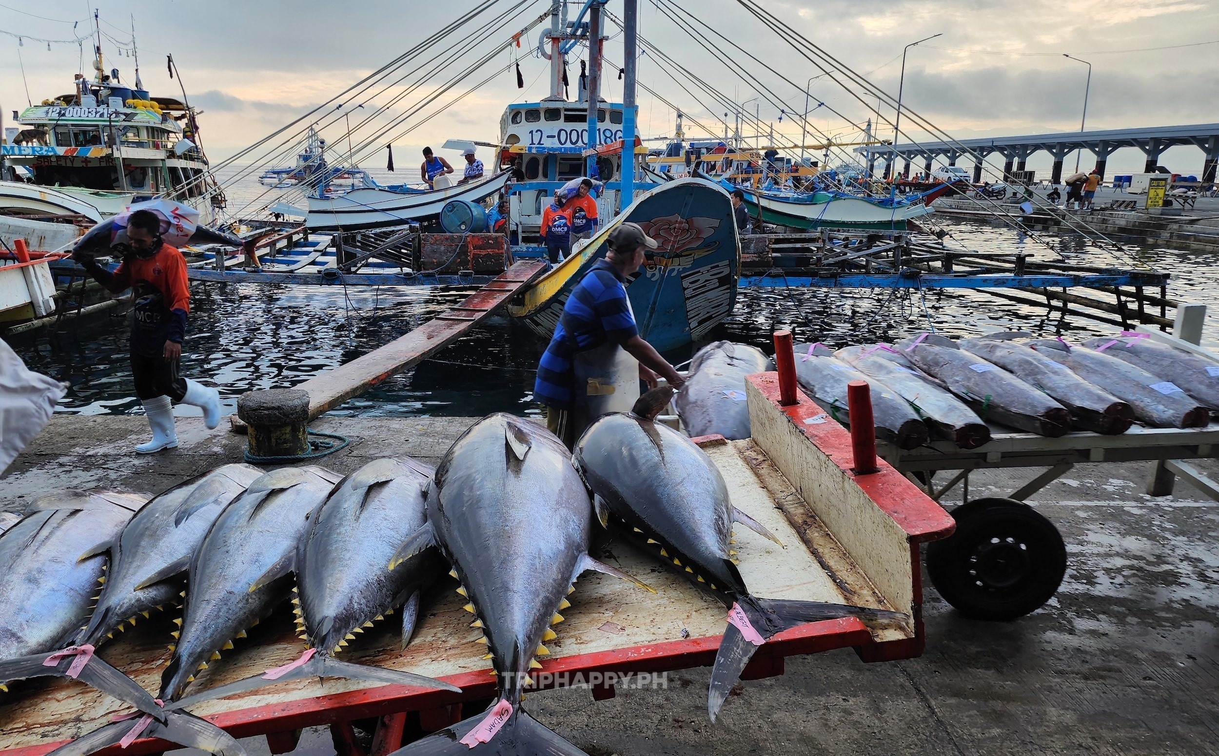 SOCCSKSARGEN (SOX) Adventure from Gensan – 4D3N / 5D4N / 6D5N Tour Package