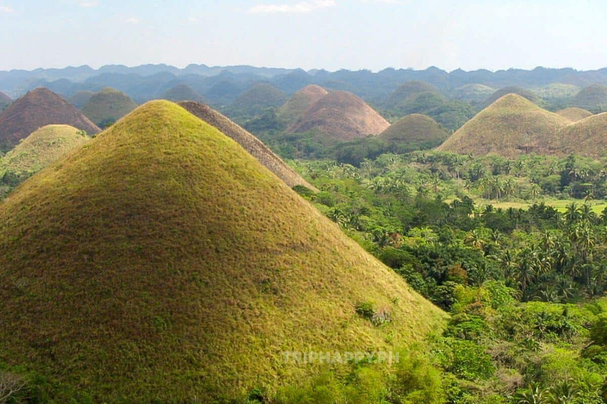 A Guide to Solo Travel in Bohol: Best Tours and Activities for Independent Travelers