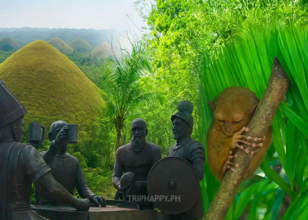 The Ultimate Guide to Bohol Tour Packages in 2026: Best Deals, Itineraries & Top Attractions