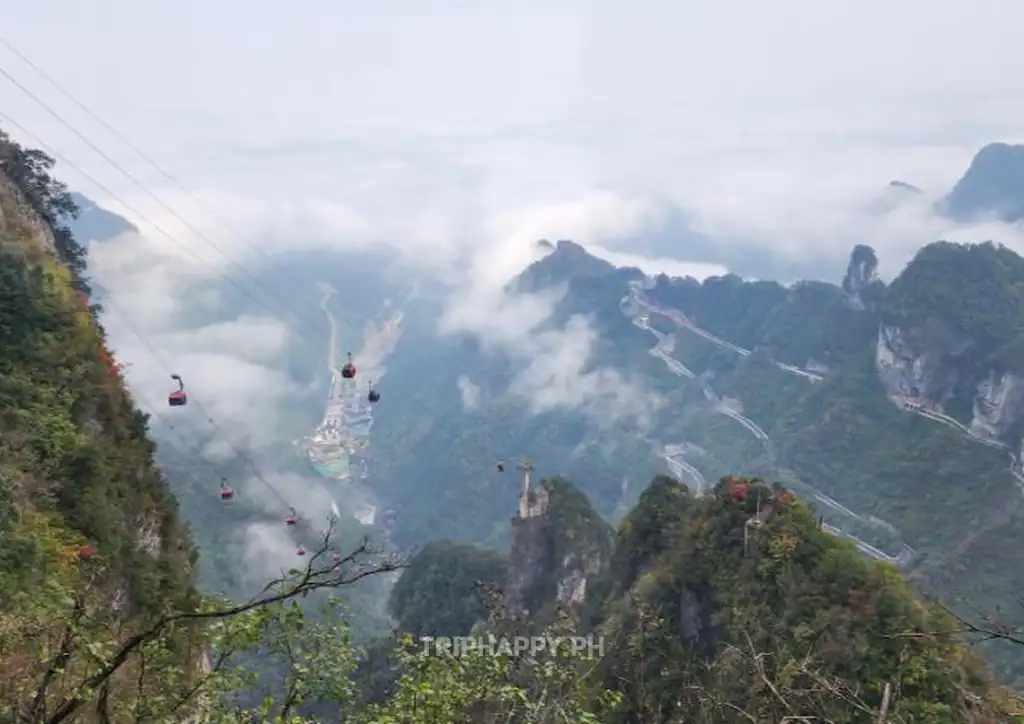 hallelujah-mountains-zhangjiajie