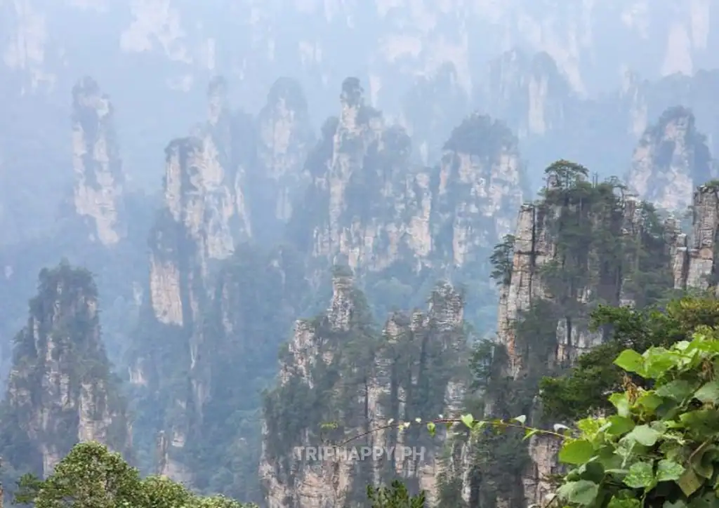 zhangjiajie-national-forest-park