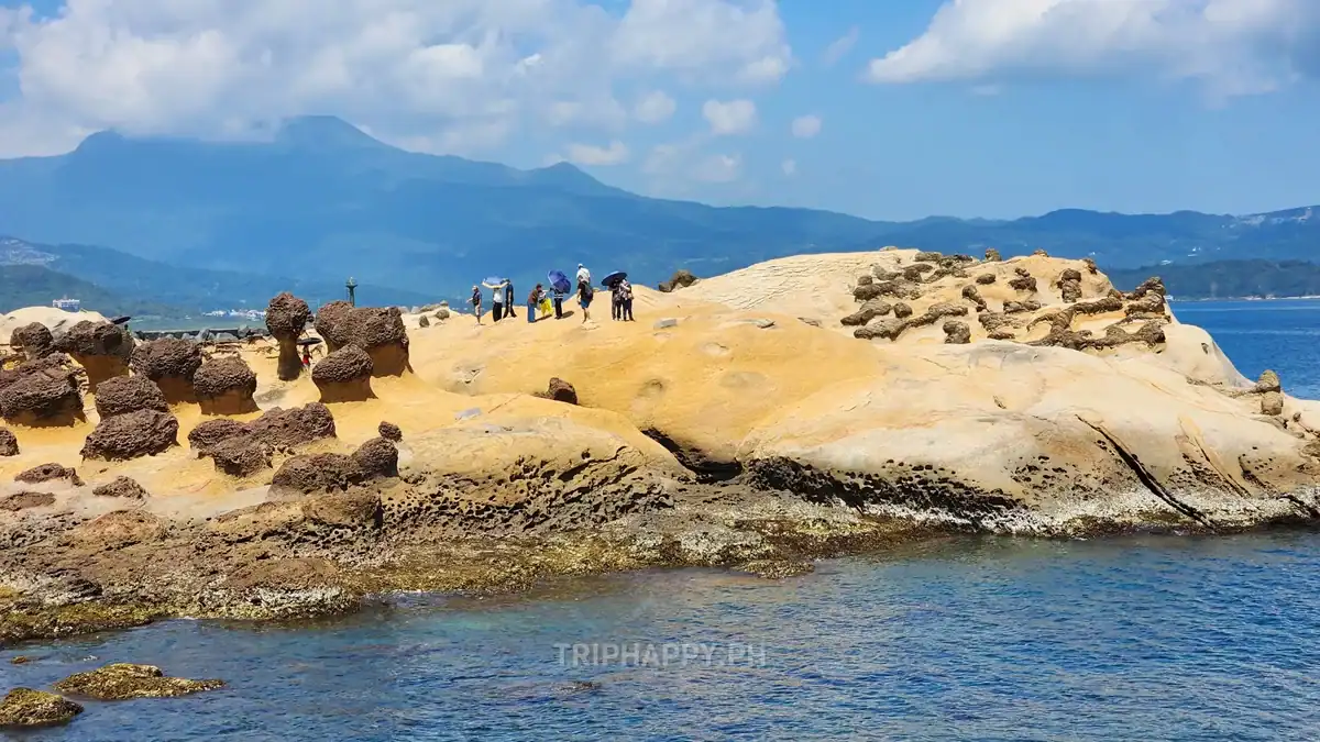 Taiwan Tour Packages 2026