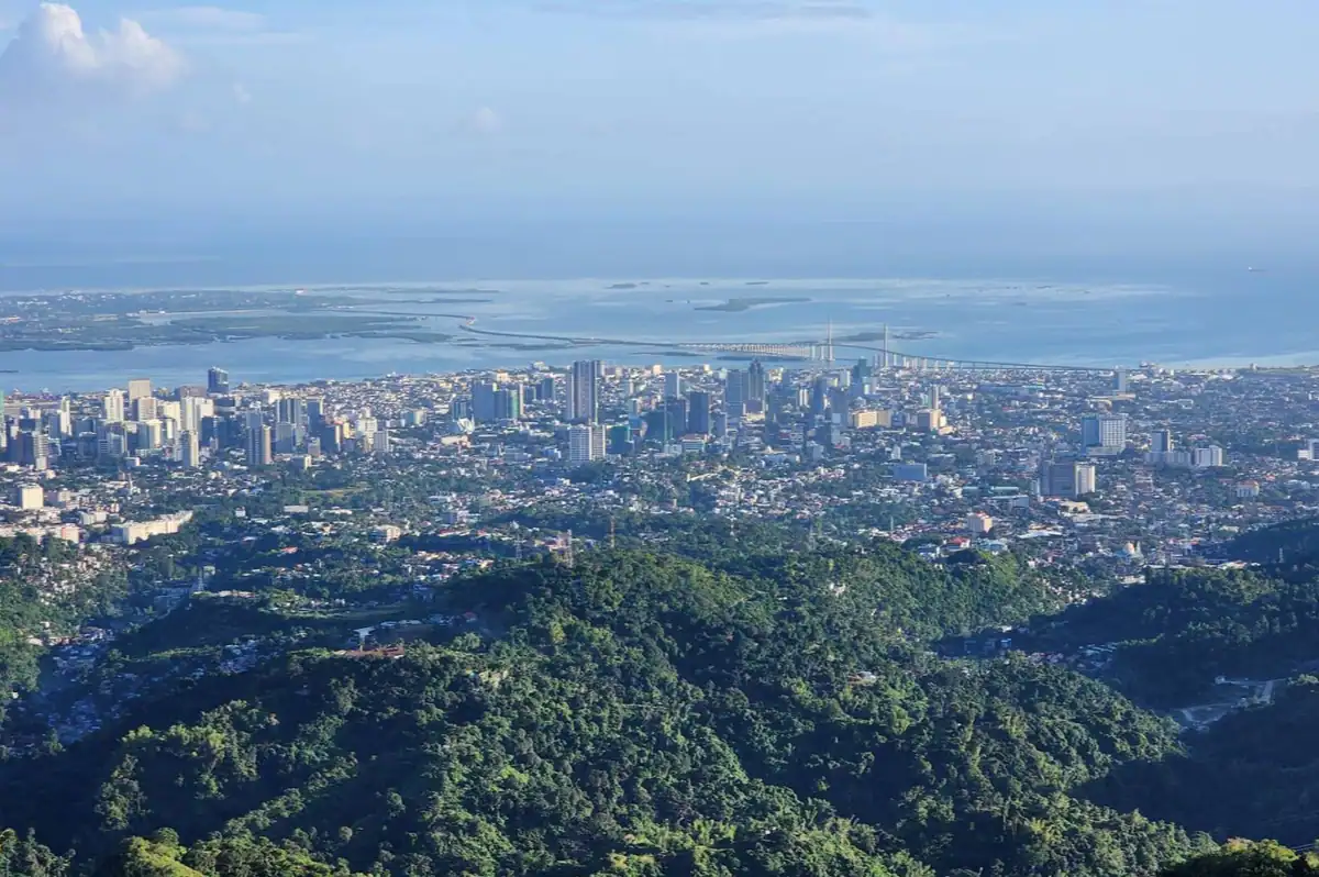 Tops View at daytime