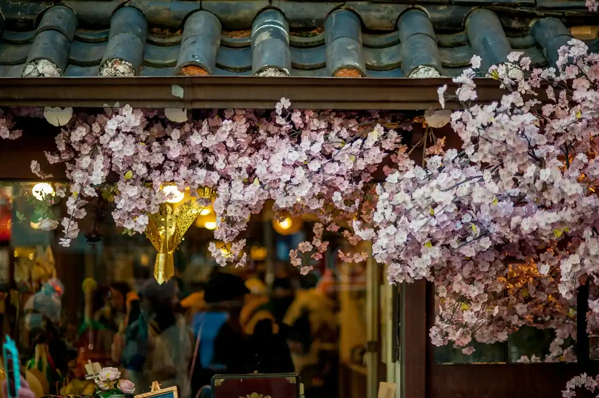 Cherry Blossoms in Seoul South Korea