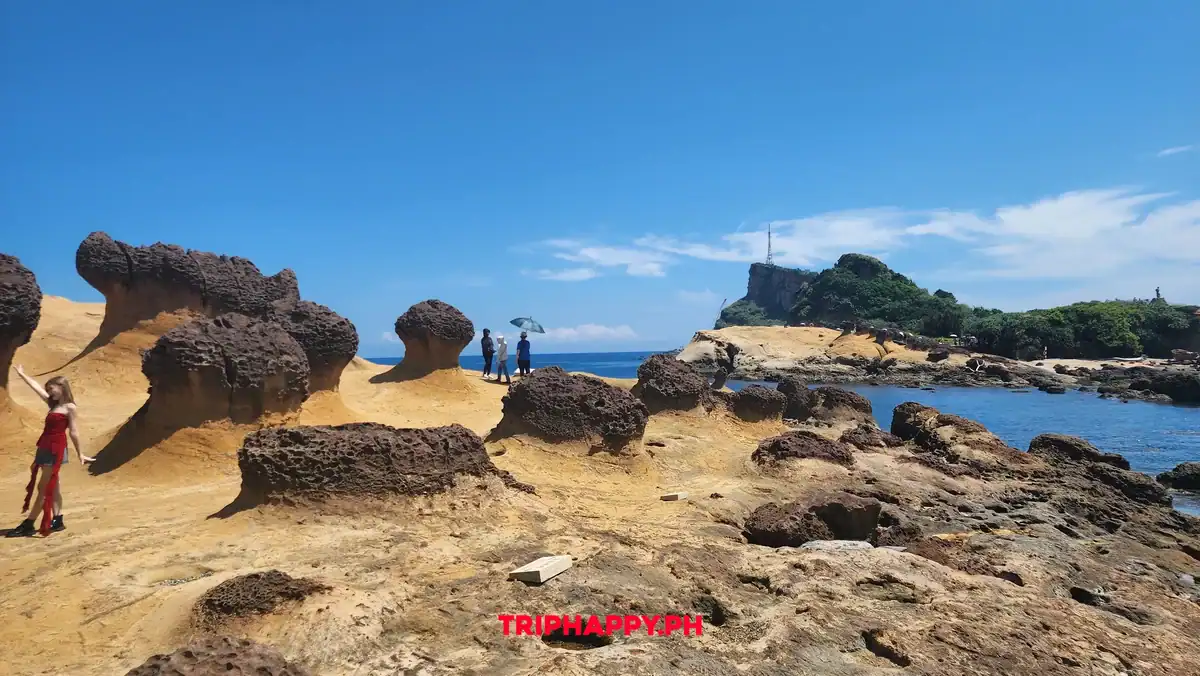 Yehliu Coastal Landscape Taiwan
