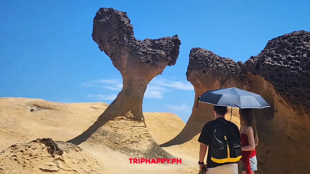 Yehliu Geopark Rock Formations Taiwan