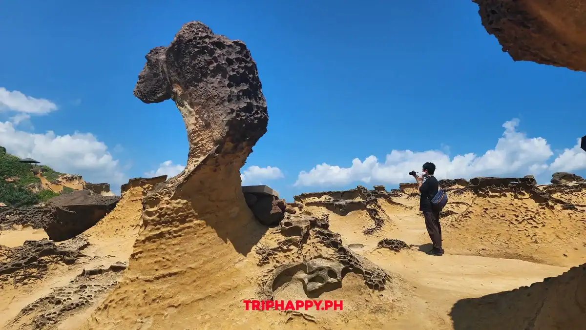 Yehliu Queen's Head Rock Taiwan