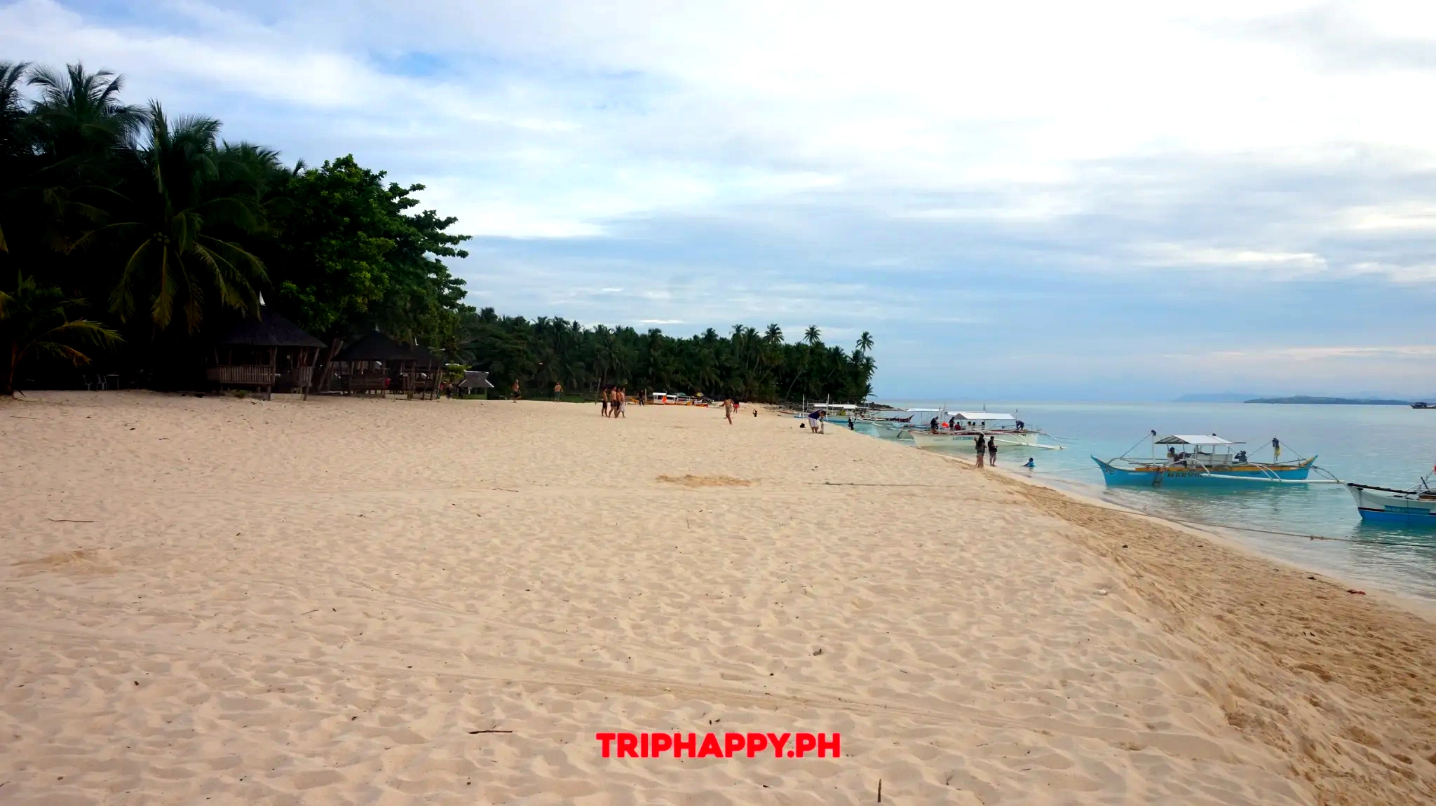 Discover a beautiful tropical beach lined with lush greenery and clear waters.