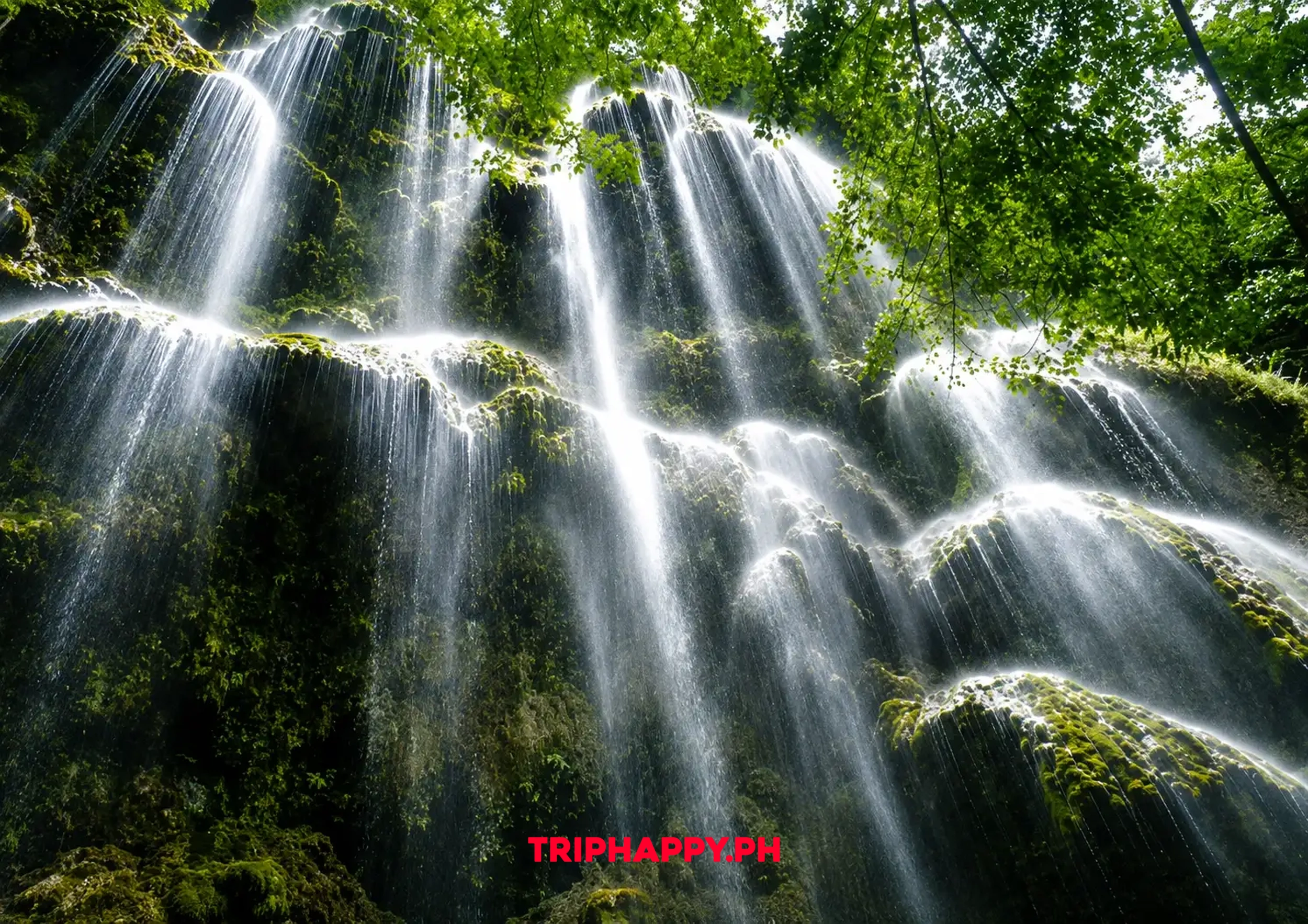 Scenic waterfall surrounded by lush tropical greenery in Cebu