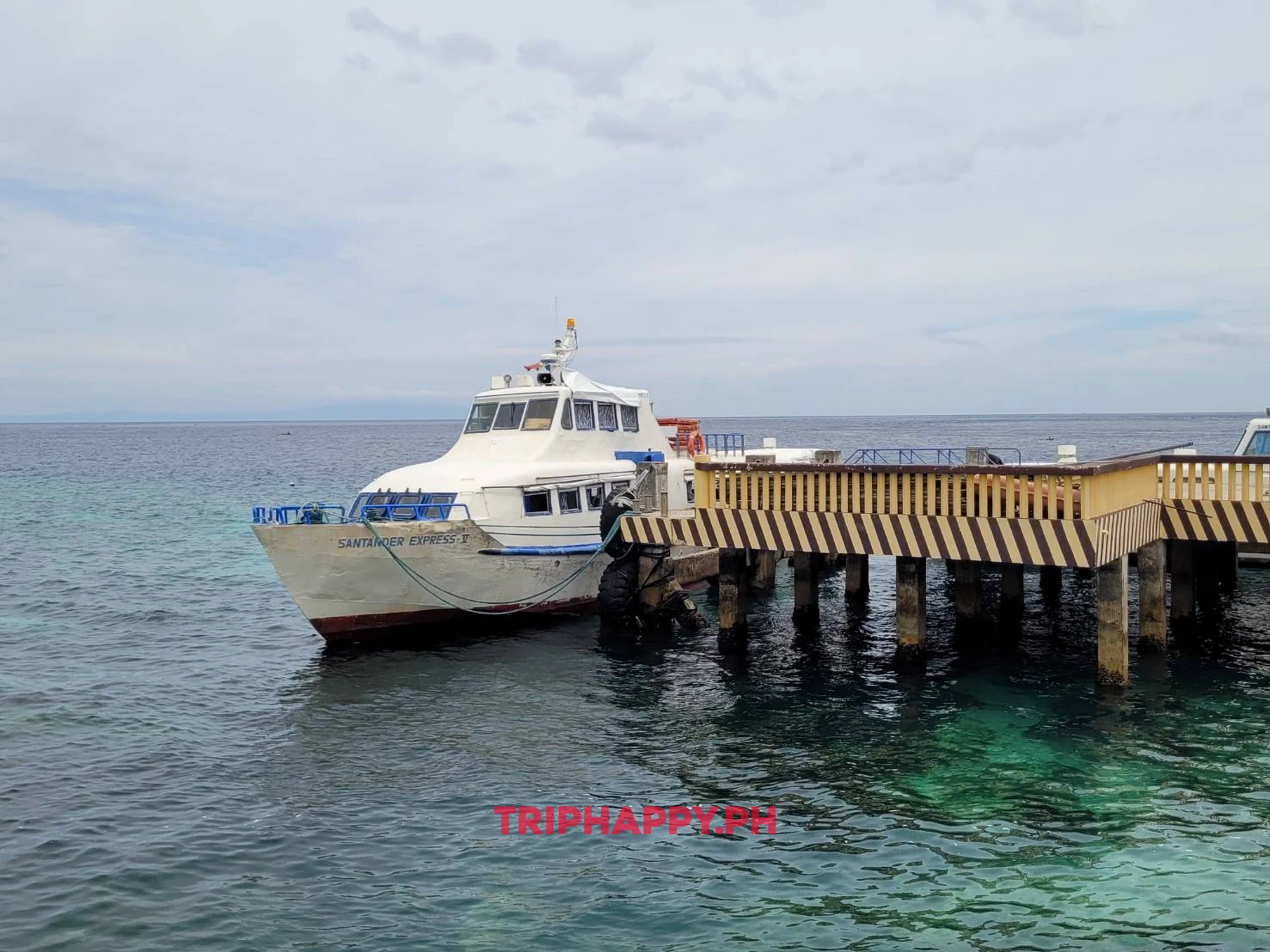 Oslob Whale Shark Tour from Dumaguete- Ferry