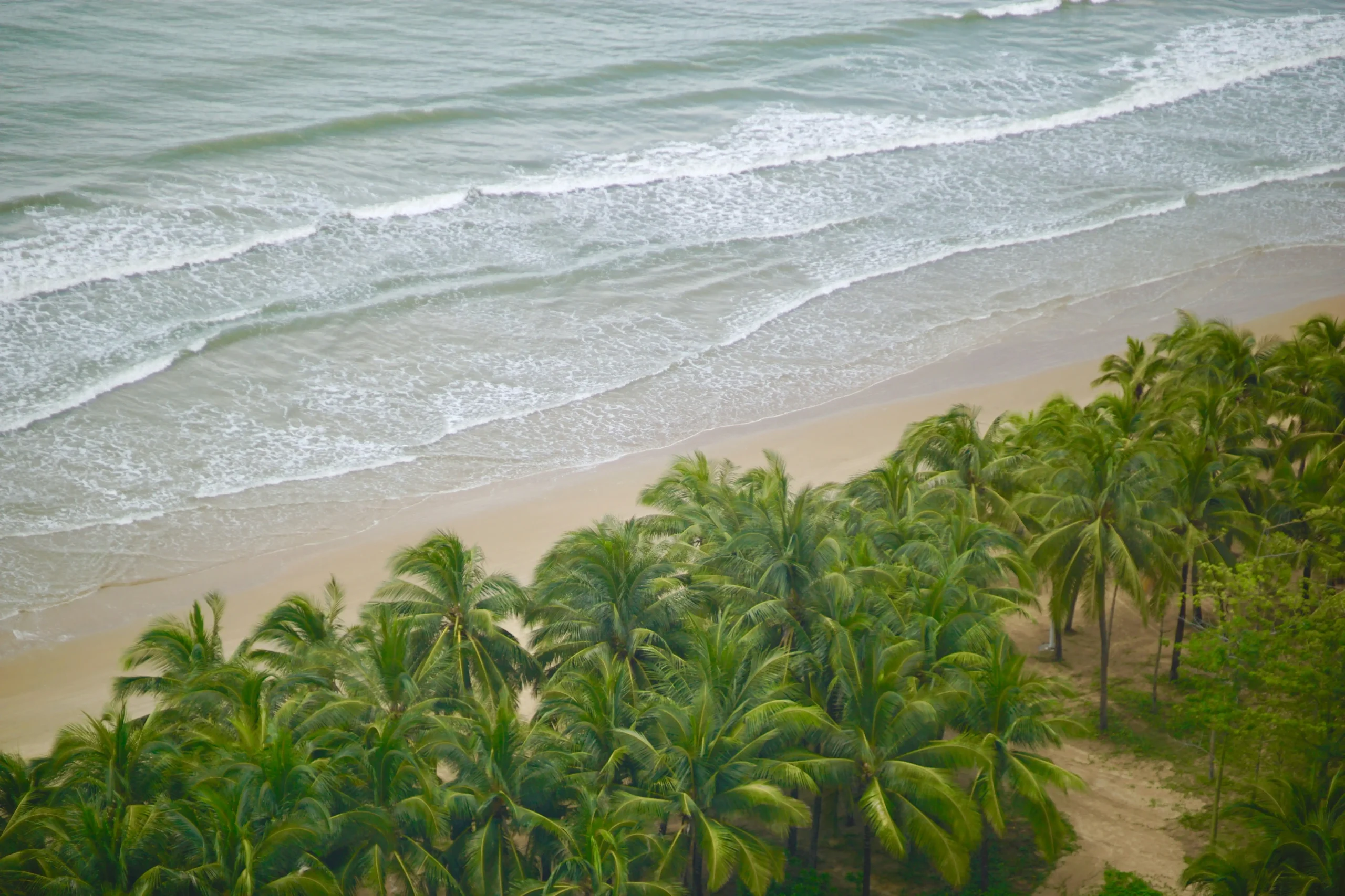 Hainan tropical coastline with green trees and sandy beach