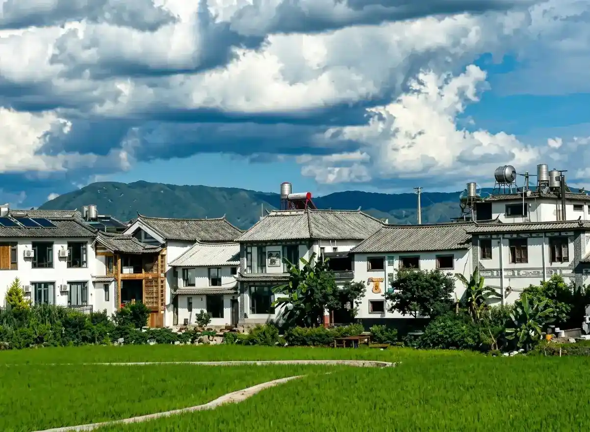 Traditional Bai ethnic white-walled houses with tiled roofs set behind a vibrant green rice field under a cloudy blue sky.