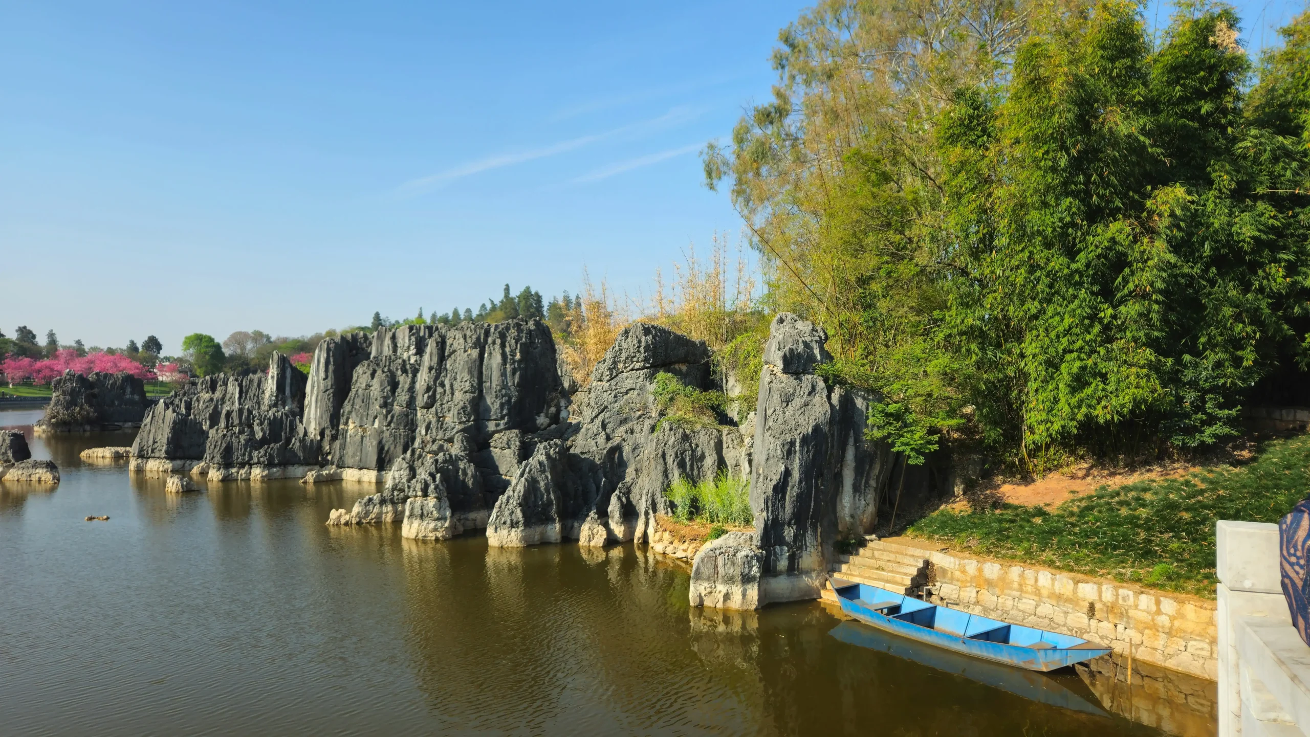 A wide view of dark gray karst limestone formations rising out of a tranquil lake surrounded by lush green trees and foliage in Kunming, Yunnan