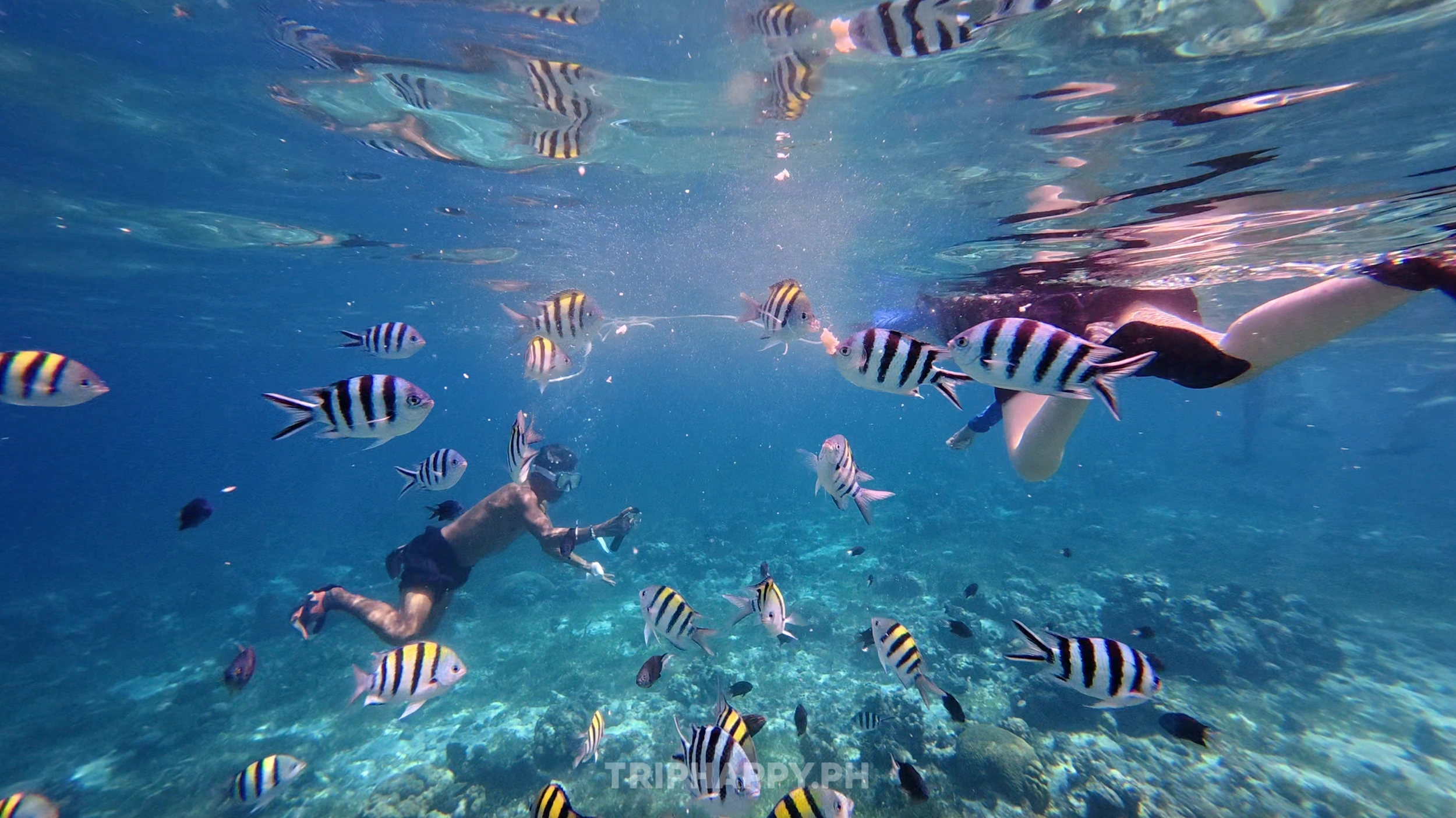 Mactan Cebu Island Hopping Joiner Tour