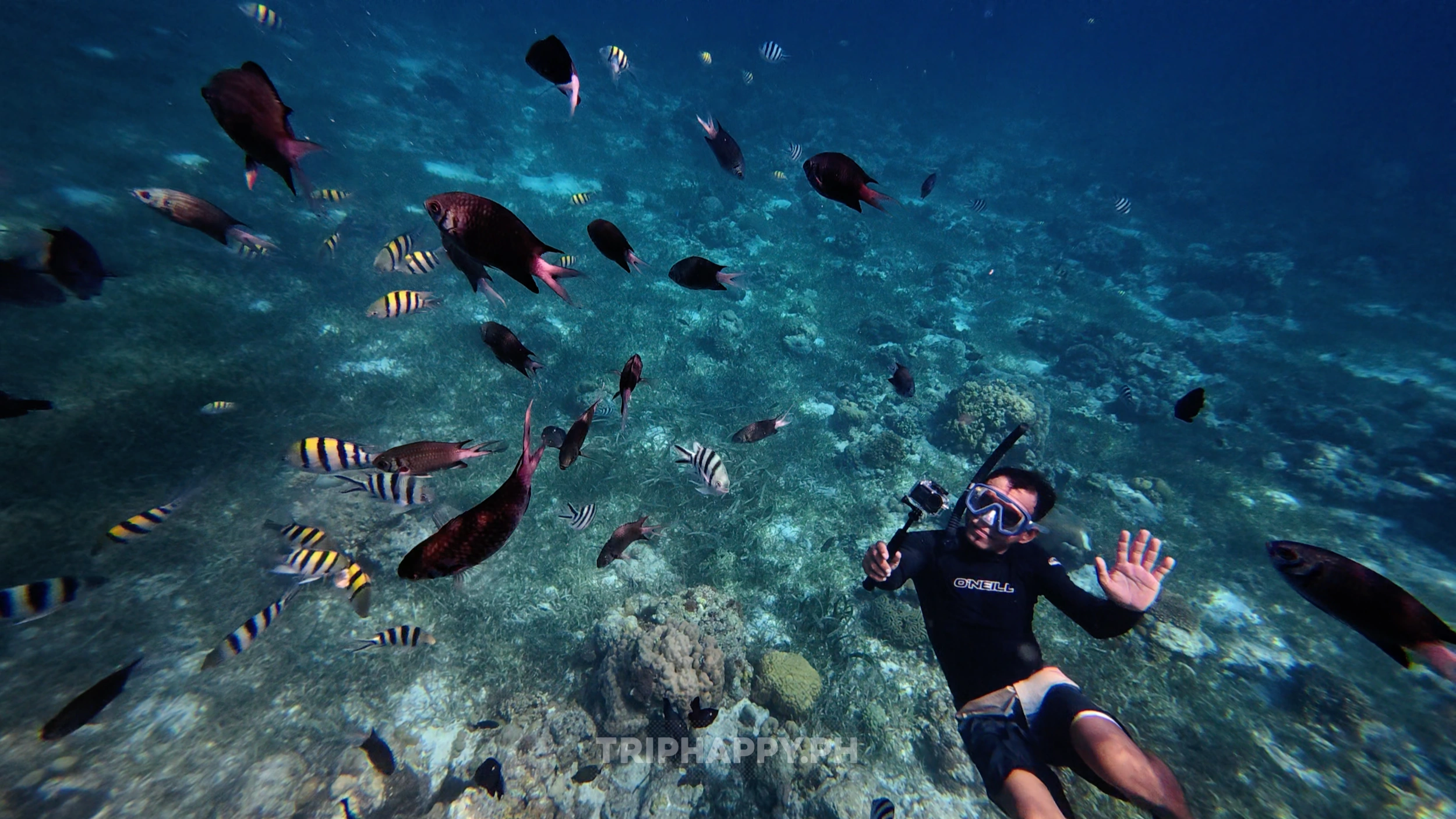 Snorkeling