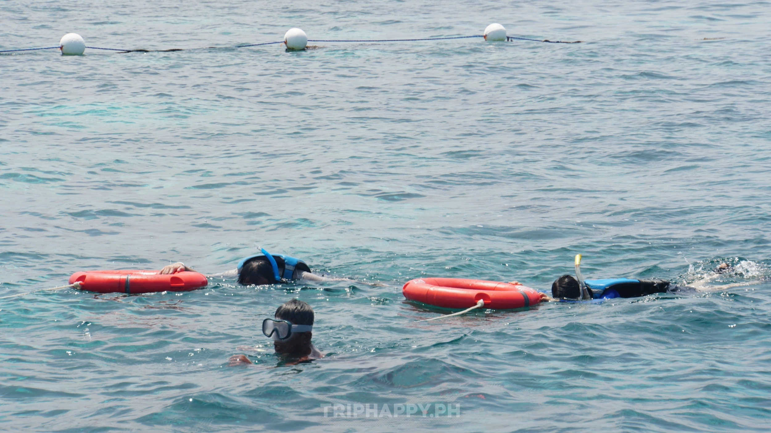 Island hopping - snorkeling